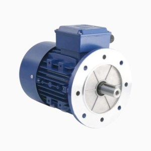 Flange Mount Motor