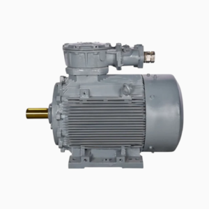 Used Flame Proof Electric Motor
