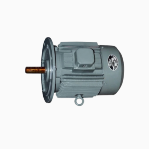 Electric Brake Motor